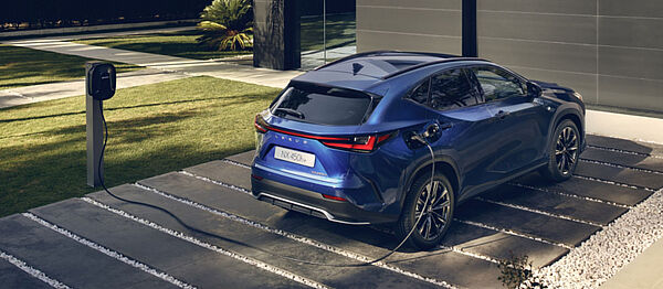 Lexus Sittard NX 2021 Plug In