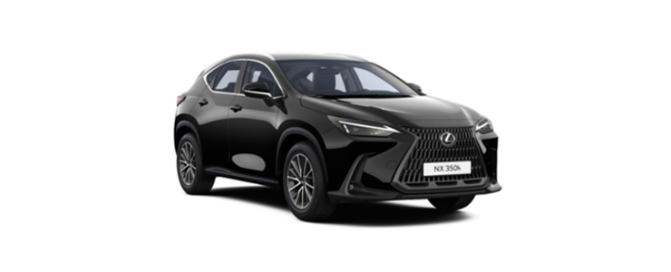 Mengelers Automotive Limburg Private Lease - Lexus NX
