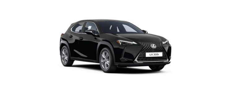 Mengelers Automotive Limburg Private Lease - Lexus UX