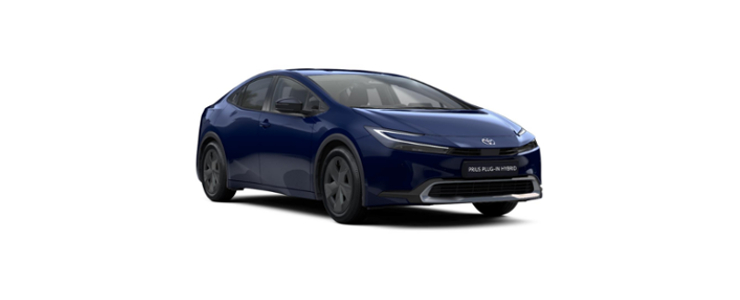 Mengelers Automotive Limburg Private Lease - Toyota Prius