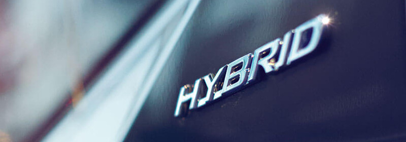 Lexus Sittard Hybrid Health Check